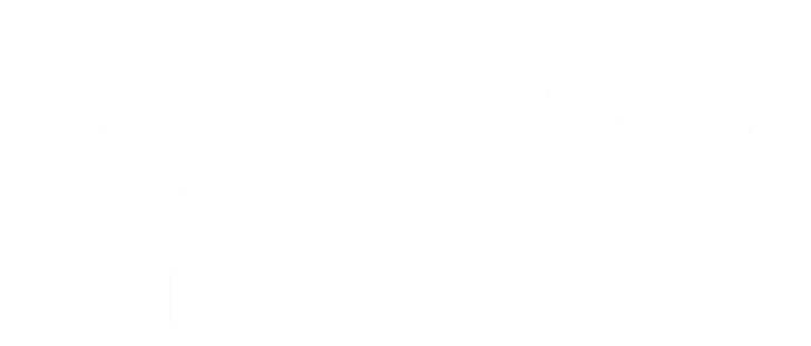 parkingchina_logo